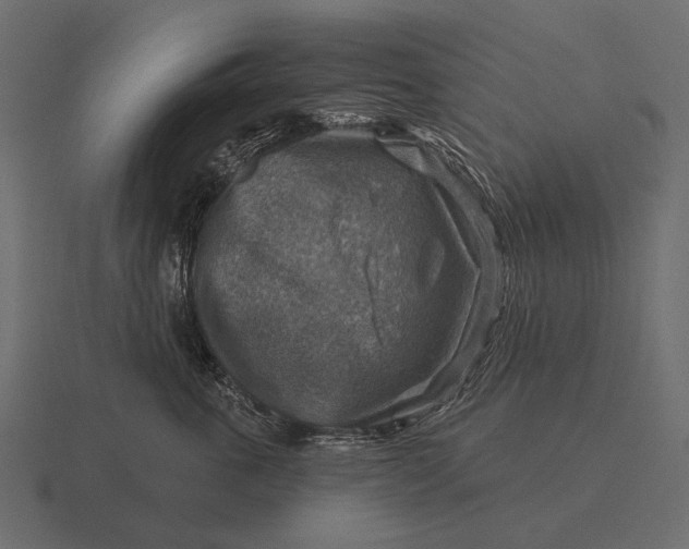 X0000116550763200912241555