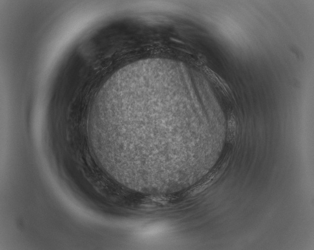 X0000116550765200912241555