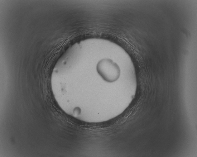 X0000116550769200912241555