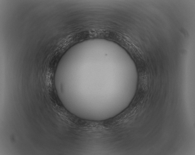 X0000116550770200912241555