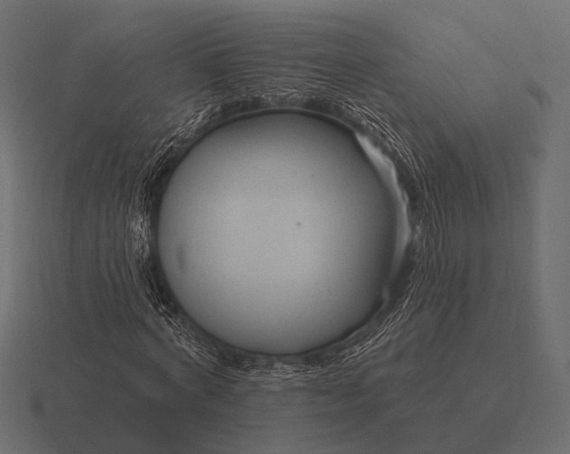 X0000116550772200912241554