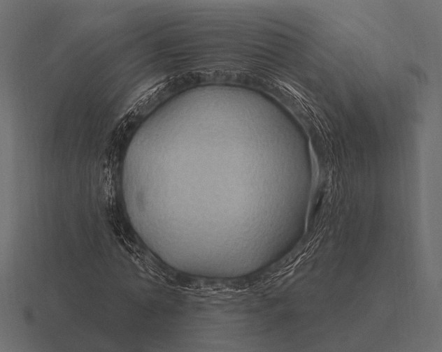 X0000116550774200912241554