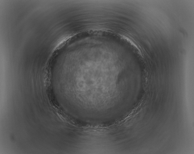 X0000116550775200912241554