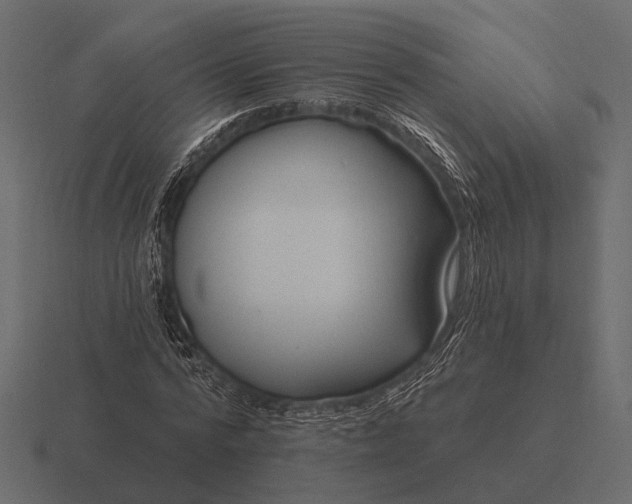 X0000116550776200912241554