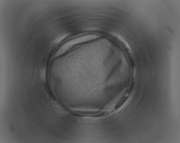 X0000116550777200912241554