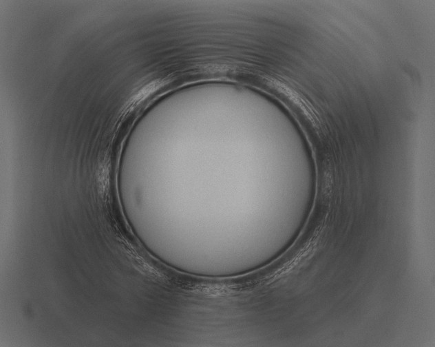 X0000116550778200912241554