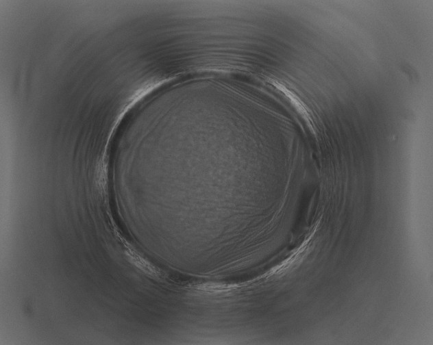 X0000116550779200912241554