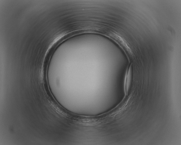 X0000116550780200912241554