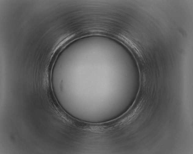 X0000116550782200912241554