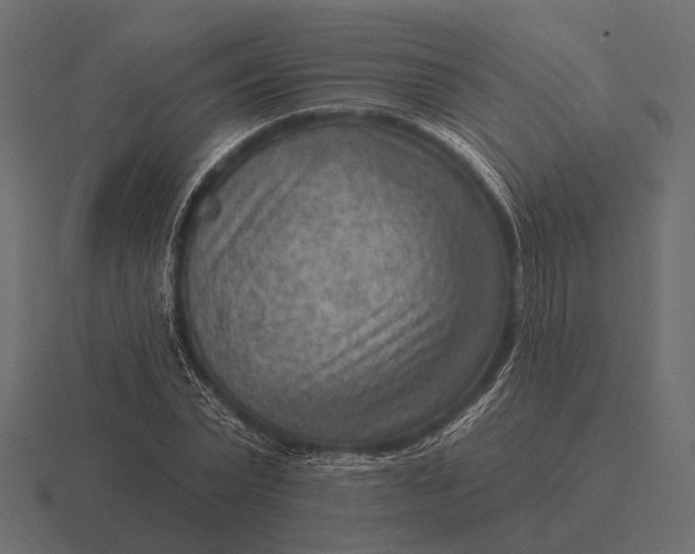 X0000116550783200912241554