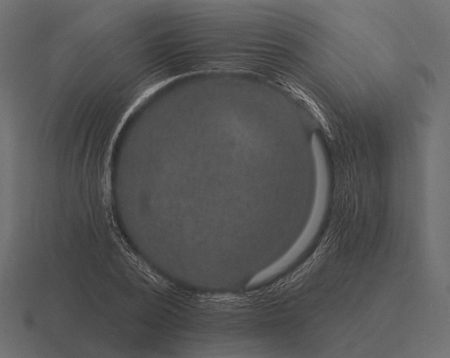 X0000116550784200912241554