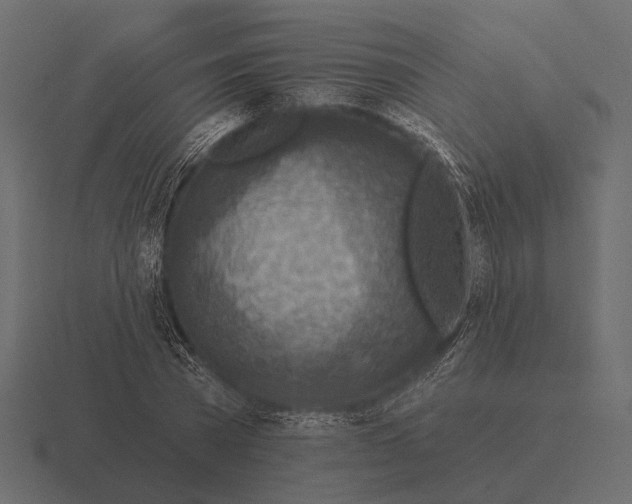 X0000116550785200912241554