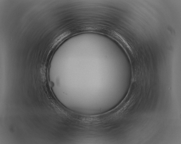 X0000116550786200912241554