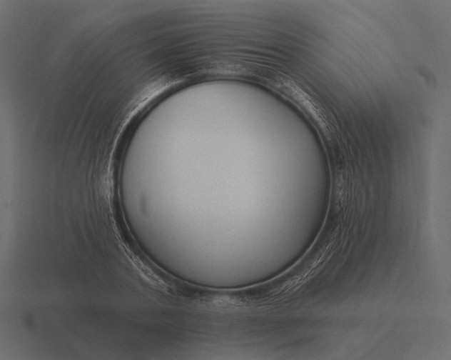 X0000116550787200912241554