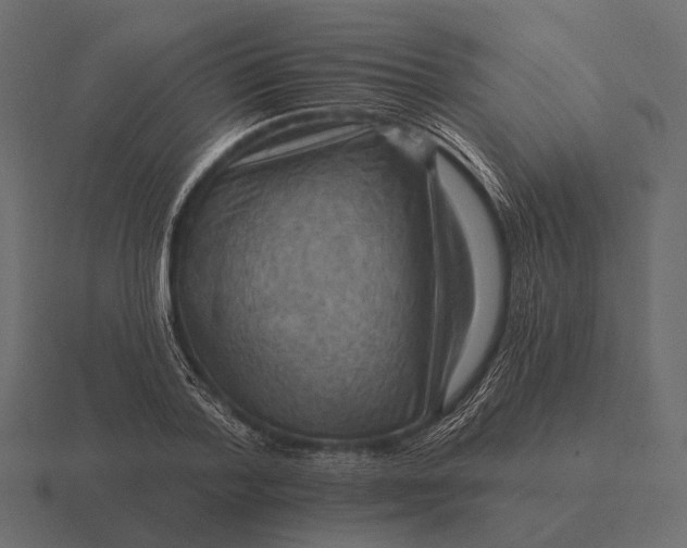 X0000116550788200912241554