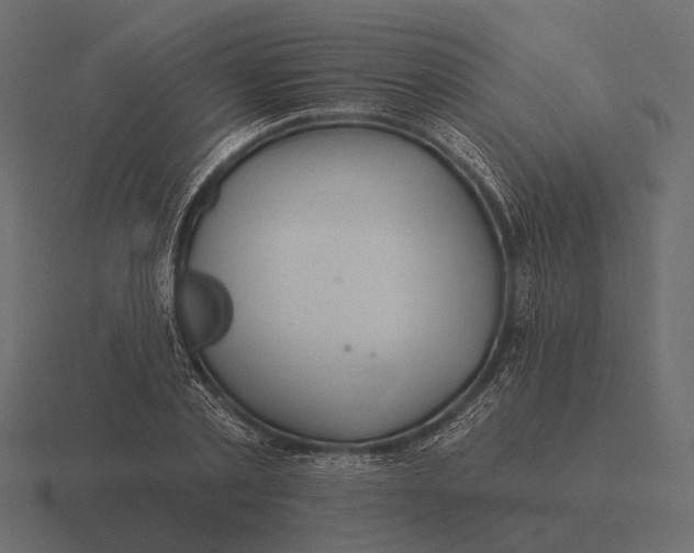 X0000116550789200912241554