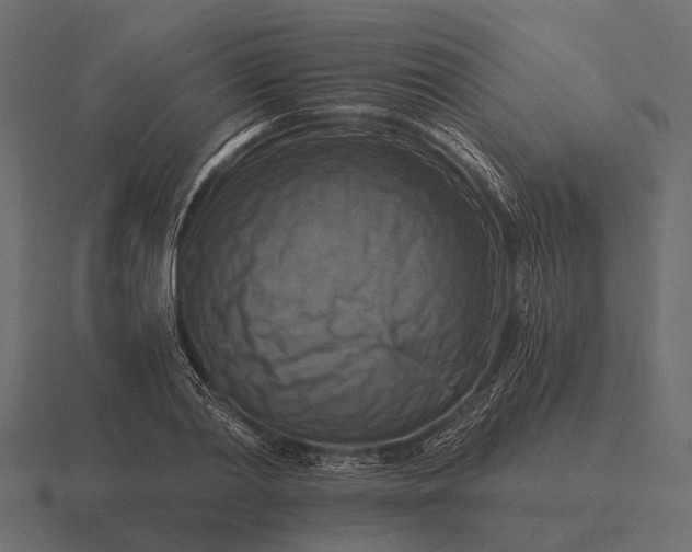 X0000116550790200912241554