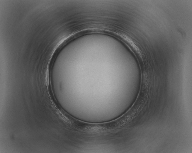 X0000116550791200912241554