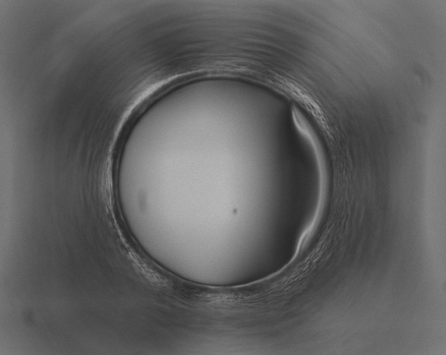 X0000116550792200912241554