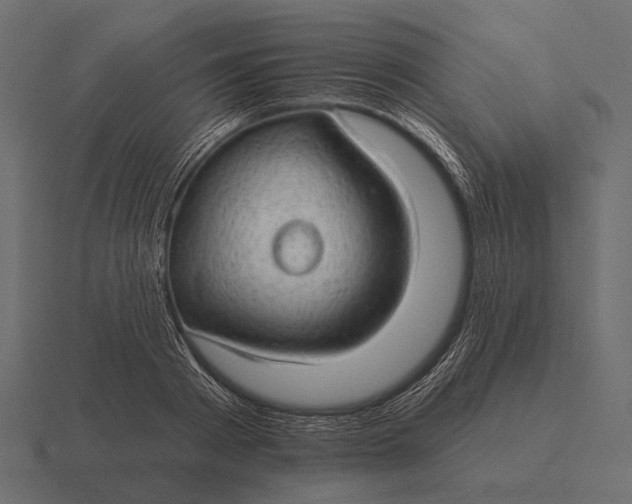 X0000116550793200912241554