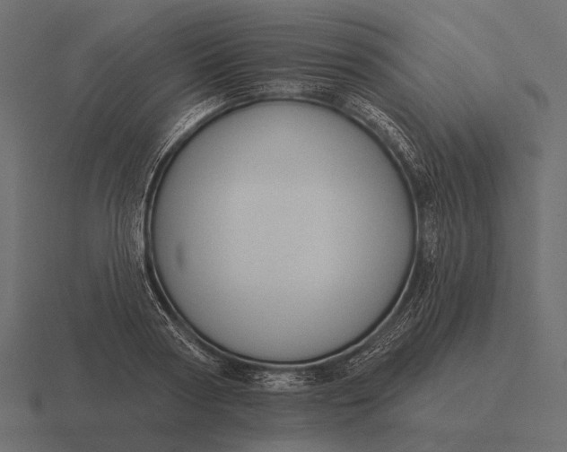 X0000116550794200912241554