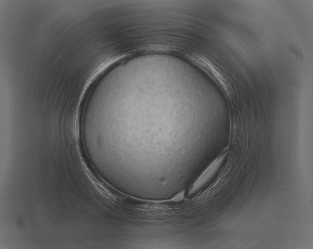 X0000116550795200912241554