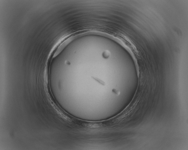 X0000116550796200912241554