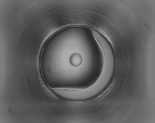 X0000116550797200912241554