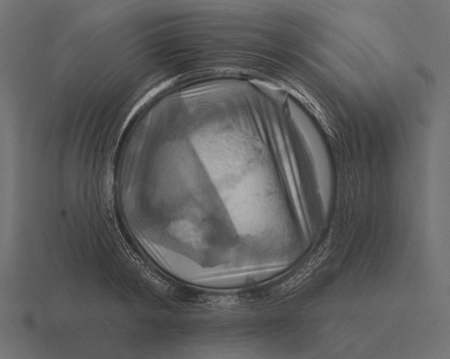 X0000116550798200912241554