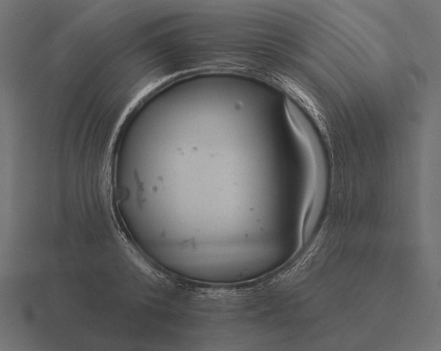 X0000116550800200912241554