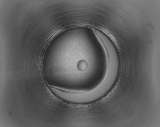 X0000116550801200912241554