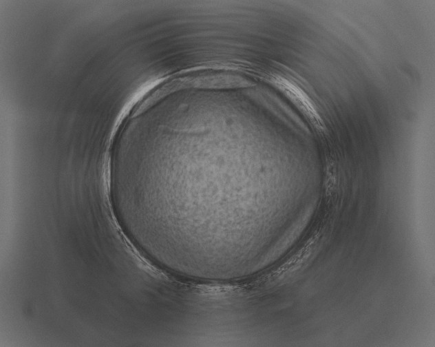 X0000116550804200912241554