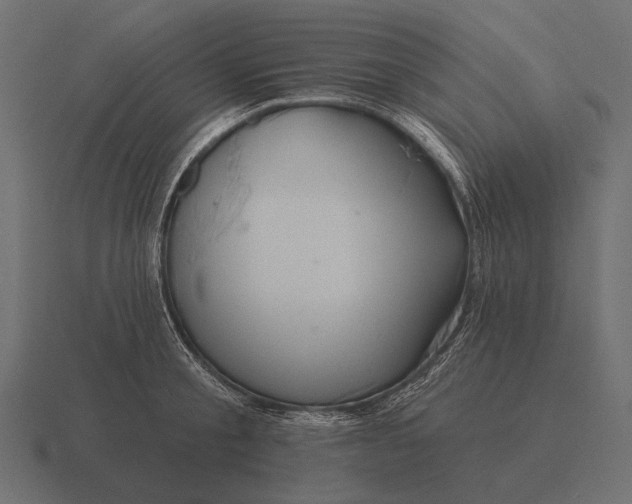 X0000116550805200912241554