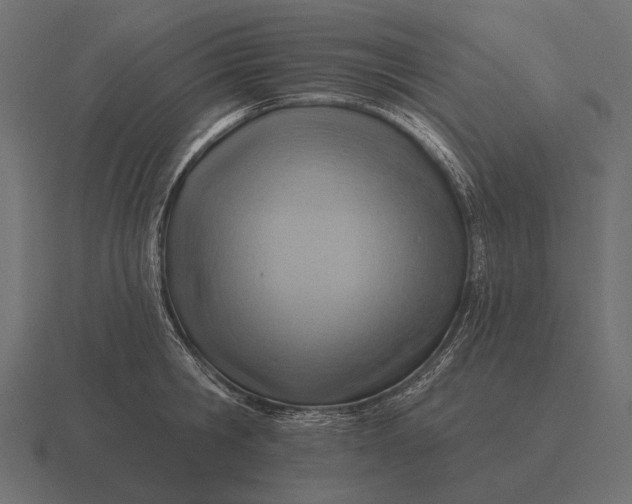 X0000116550806200912241554