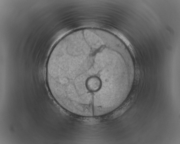 X0000116550807200912241554