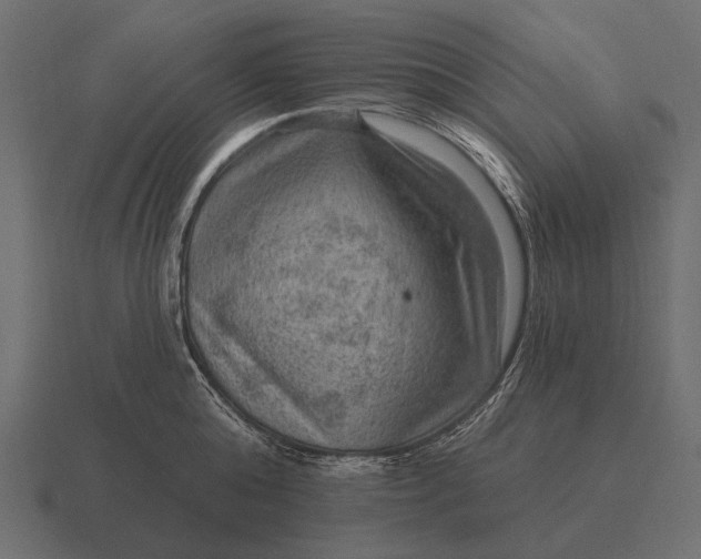 X0000116550808200912241554