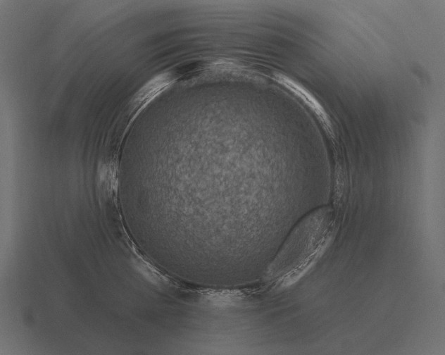 X0000116550809200912241554