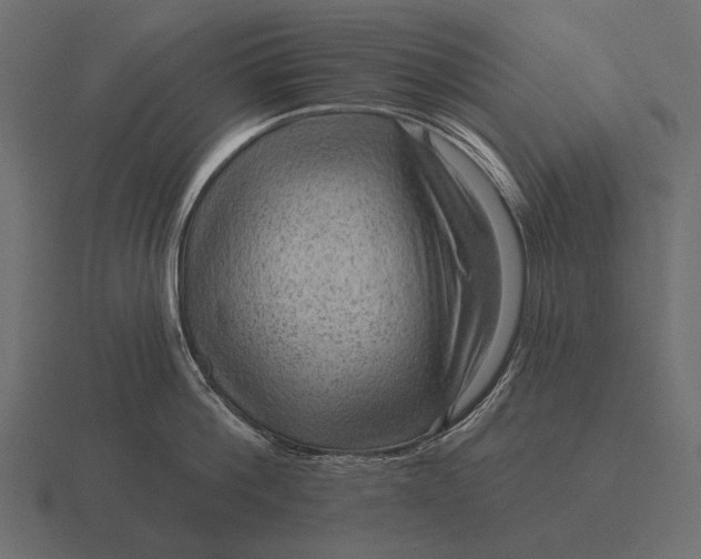 X0000116550812200912241554