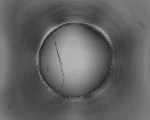 X0000116550815200912241554