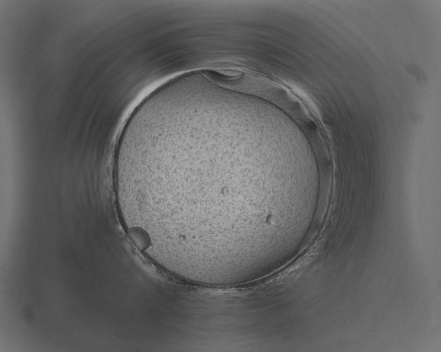 X0000116550816200912241554