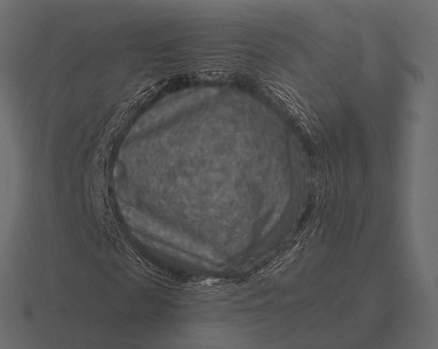 X0000116550817200912241553