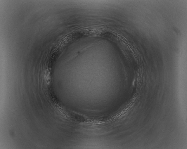 X0000116550818200912241553