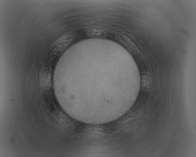 X0000116550820200912241553