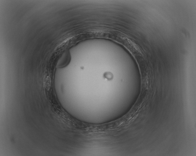 X0000116550821200912241553