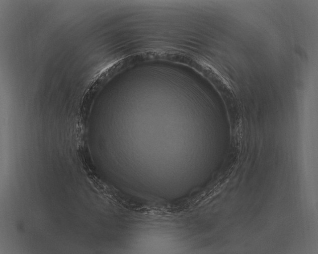 X0000116550822200912241553