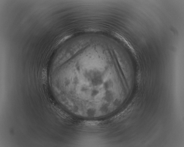 X0000116550825200912241553