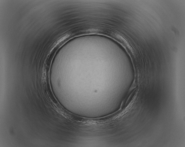 X0000116550827200912241553