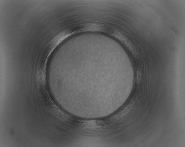 X0000116550828200912241553