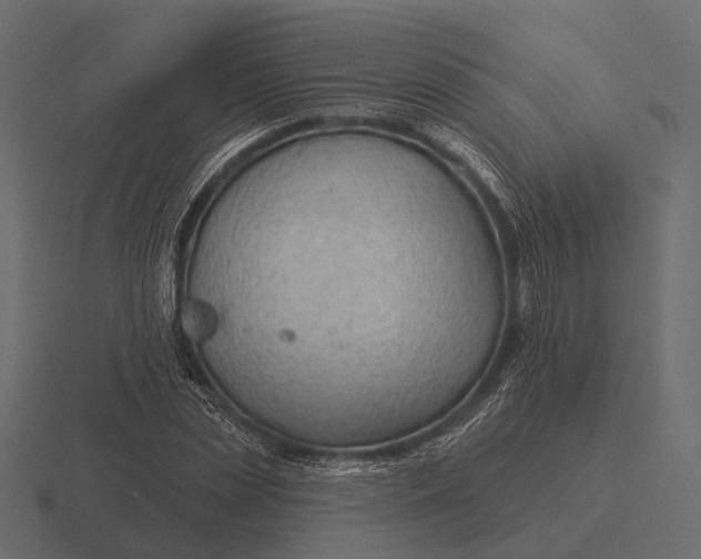 X0000116550829200912241553