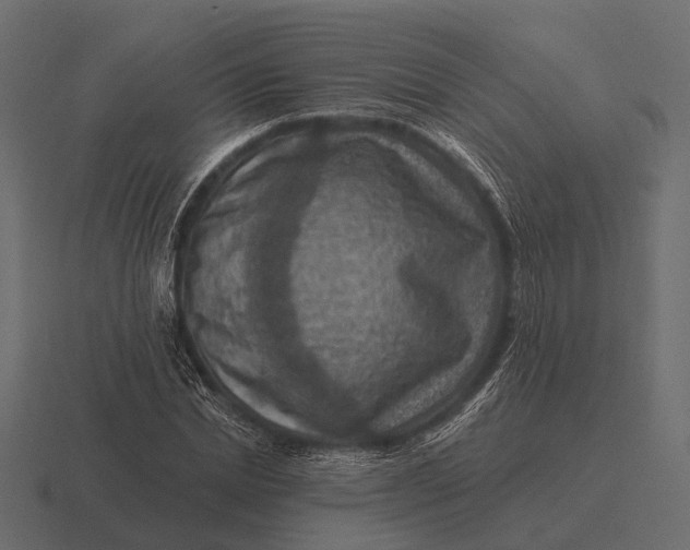 X0000116550830200912241553